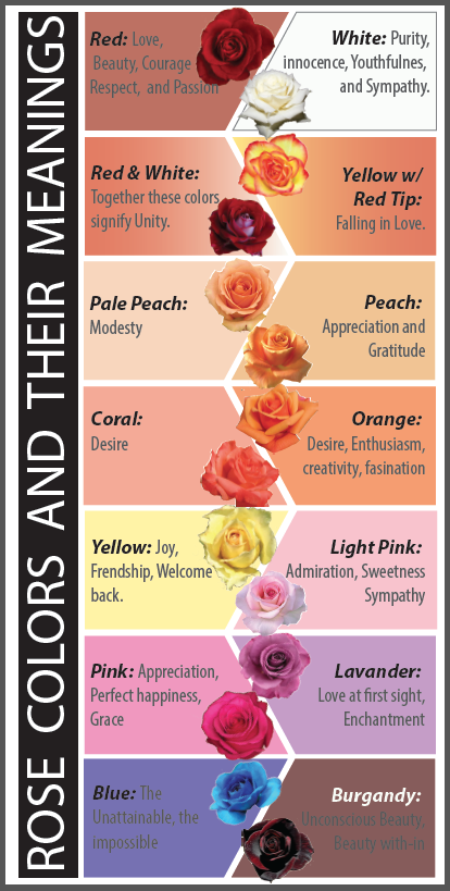 Rose Colour Chart